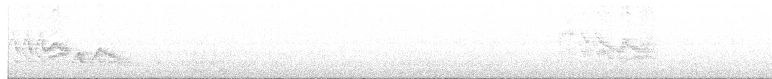 Дрізд-короткодзьоб малий - ML105524571
