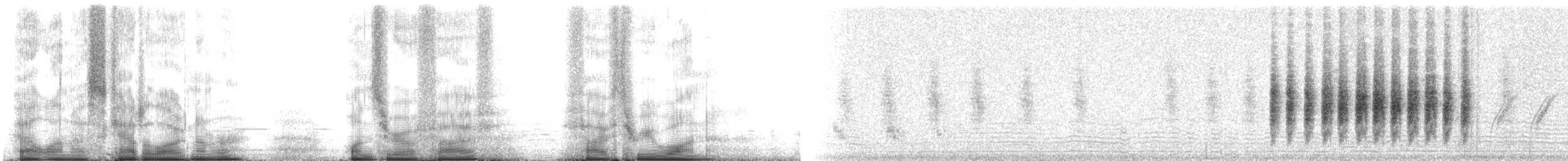 Kara Kuyruklu Bitkuşu - ML105531