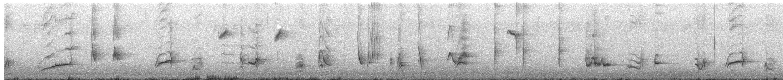 Langschnabel-Spottdrossel - ML105537881