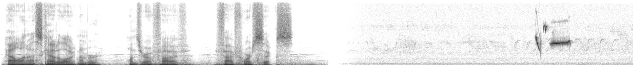 Schwarzkehlammer - ML105546