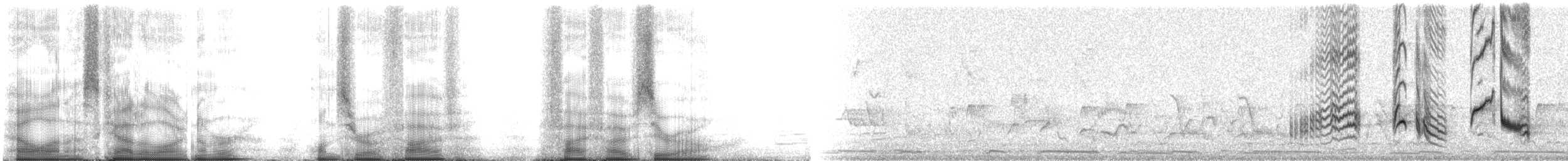 Длинноклювый пересмешник - ML105550