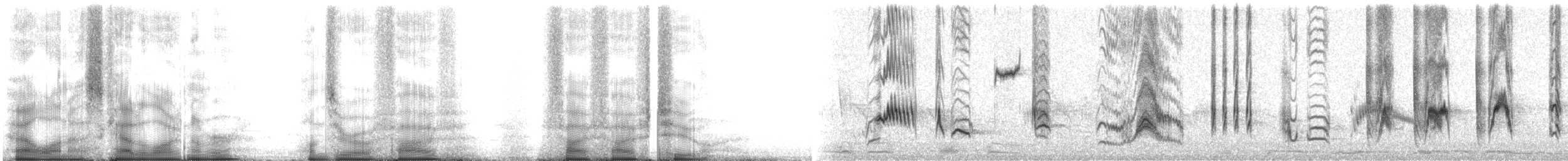 Длинноклювый пересмешник - ML105552