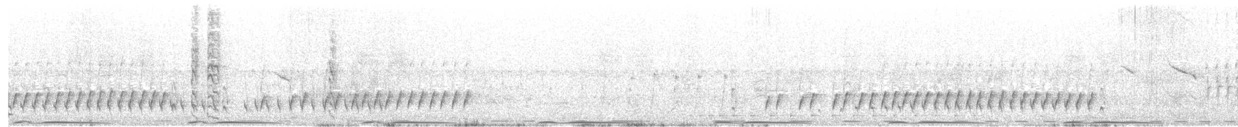 Ошейниковая синицевая славка - ML105558121