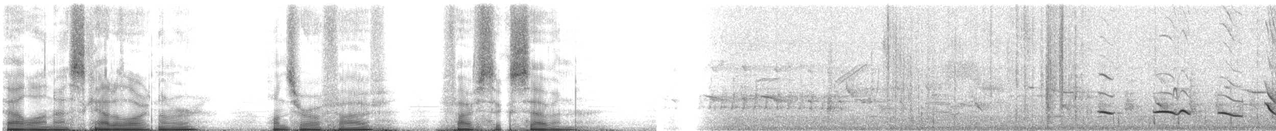 Трупіал чорноголовий (підвид graduacauda/audubonii) - ML105567