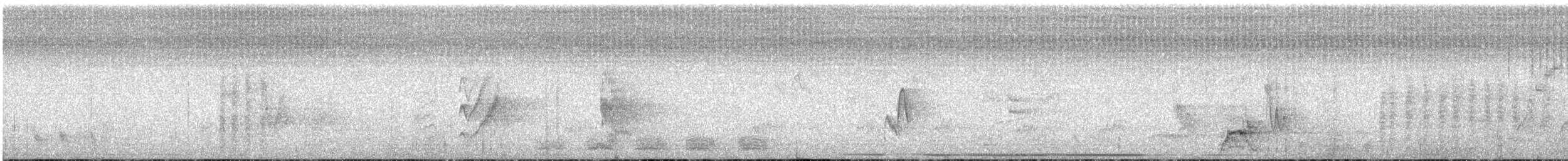 Бледногорлый миарх - ML105582691