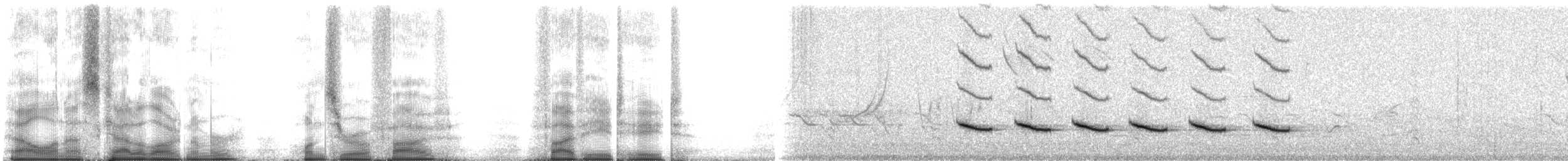 Black-crested Titmouse - ML105588