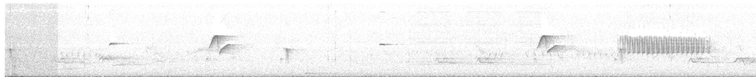 Batı Amerika Sinekkapanı (occidentalis/hellmayri) - ML105591631