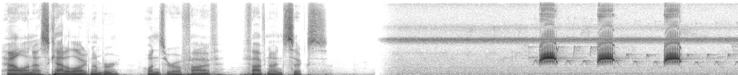 Копетон чубатий - ML105596