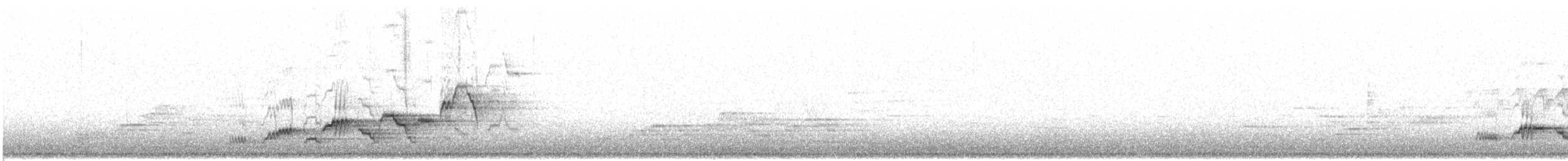 Дрізд-короткодзьоб Cвенсона - ML105615421