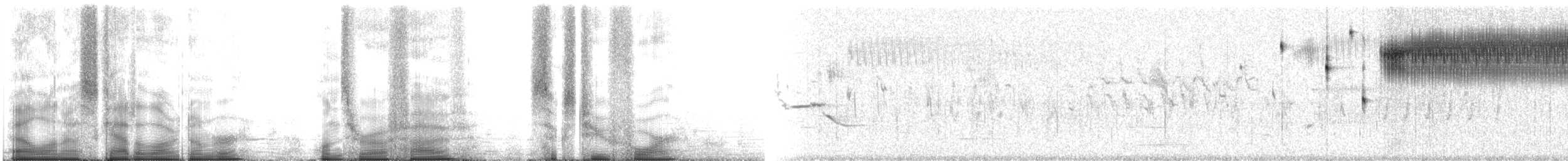 Кузнечиковая овсянка-барсучок - ML105624