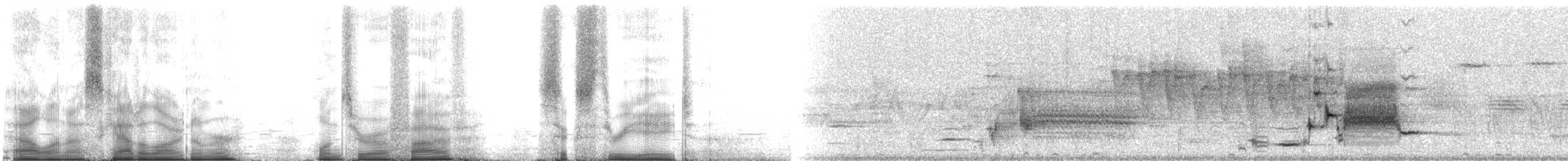 vlhovec červenokřídlý [skupina phoeniceus] - ML105638