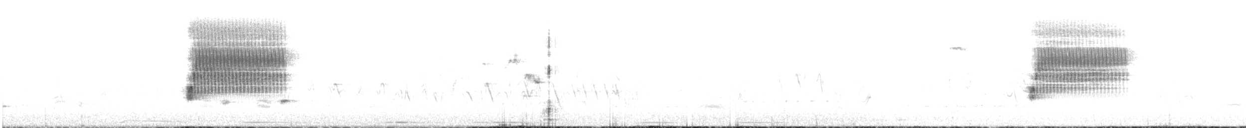 Spotted Towhee - ML105647061