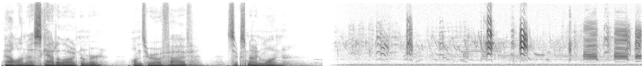 Крячок чорний (підвид surinamensis) - ML105691
