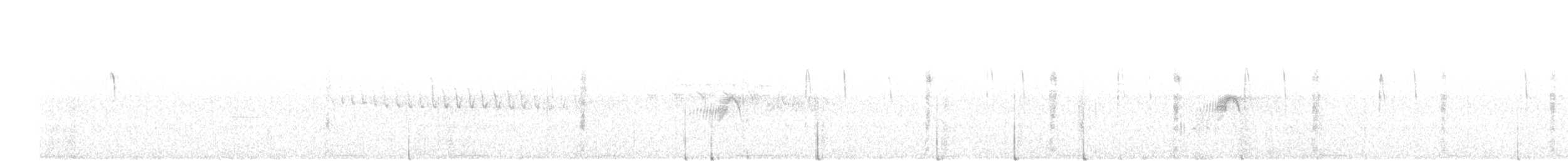 Cırcır Sesli Serçe - ML105697111