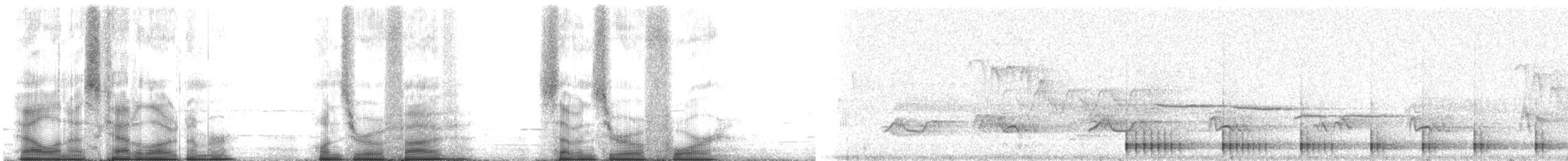 Дятел-смоктун сосновий - ML105704