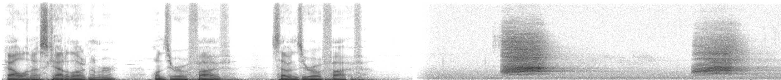 Хон хэрээ - ML105705