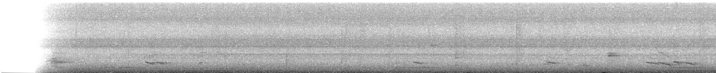 Charlatán de la Sonda - ML105722491