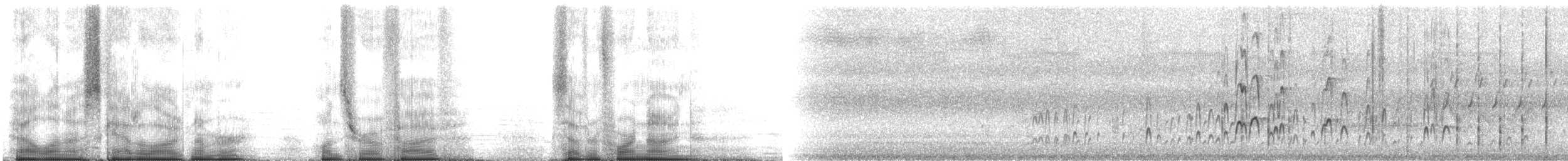 Red-cockaded Woodpecker - ML105749