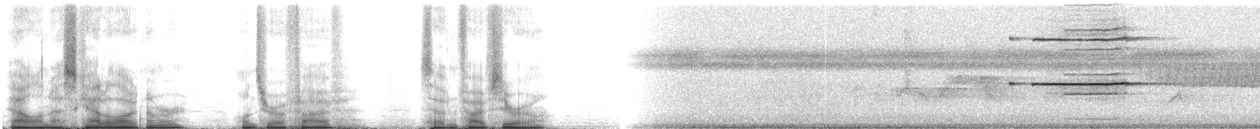Ширококрылый канюк - ML105750