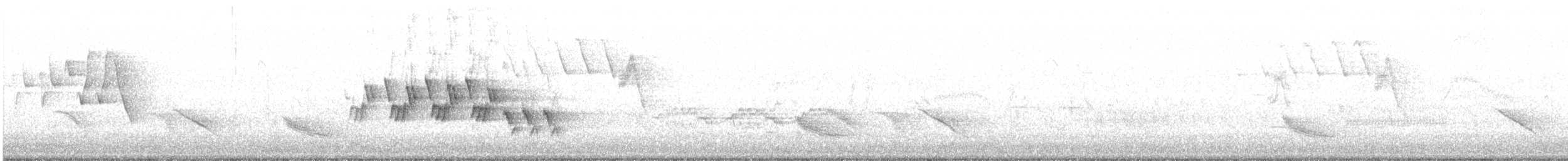 Mourning Warbler - ML105757591