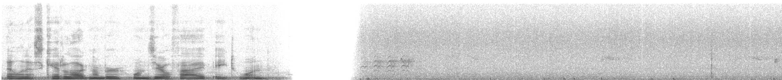 Olive Warbler - ML10581