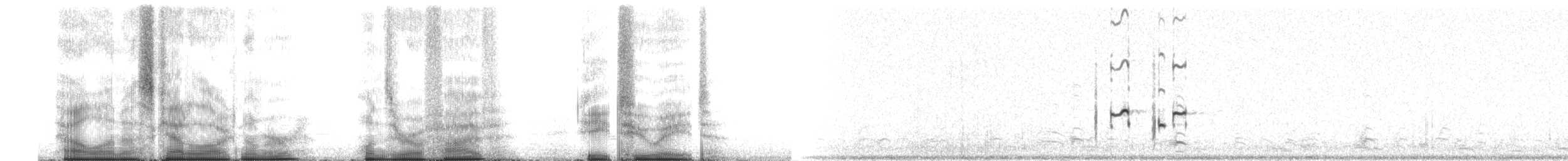 kulík hnědokřídlý - ML105828