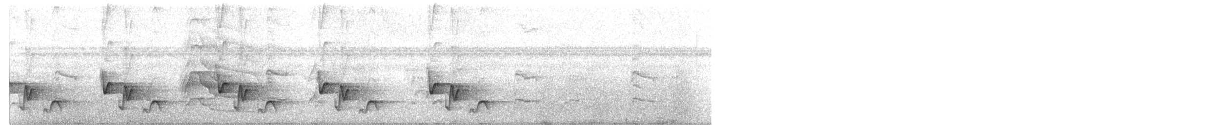 Riverside Wren - ML105850241