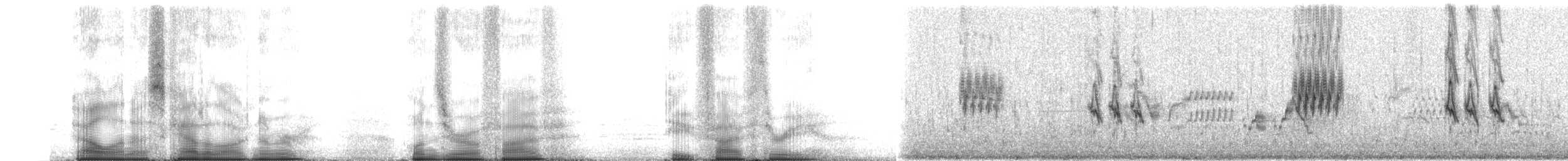 Redpoll (Hoary) - ML105853