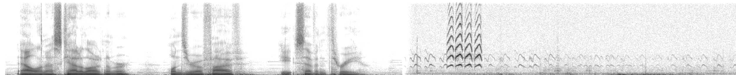 Kuliska gorria (siberiarra) - ML105873