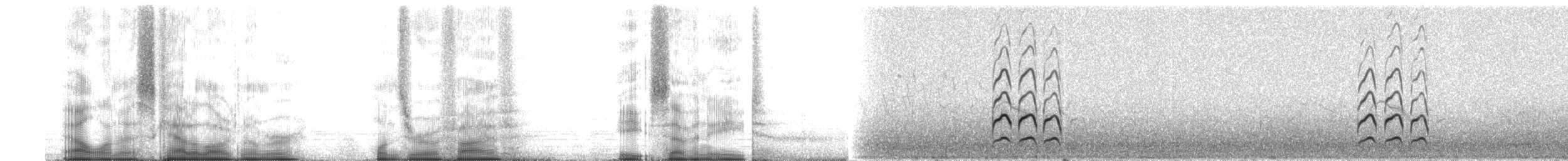 Kuliska gorria (siberiarra) - ML105878