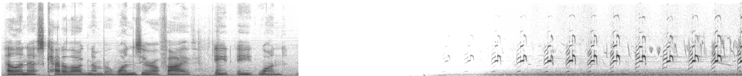 American Avocet - ML105881