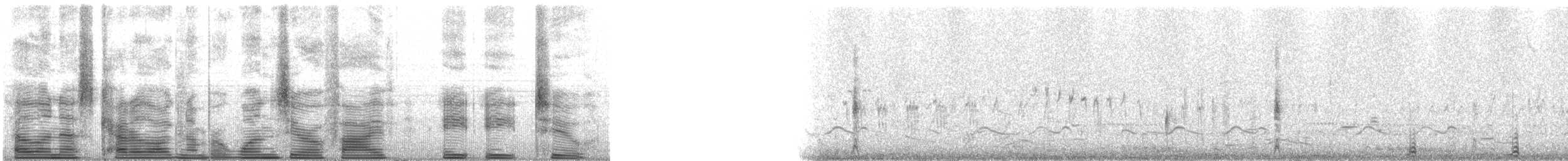 Wilson's Phalarope - ML105882