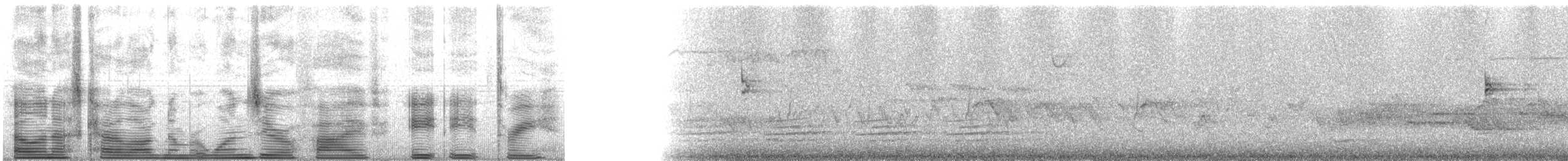 Western Tanager - ML105883