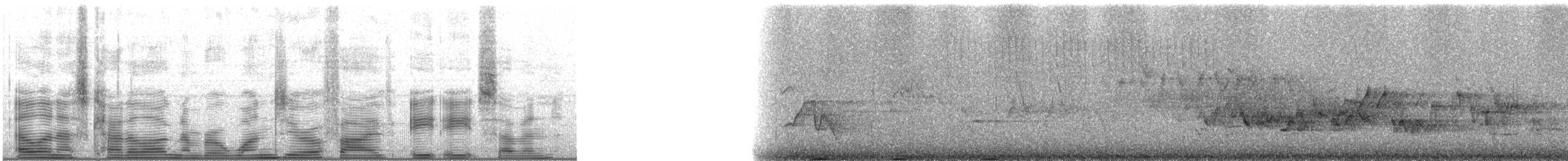 Cassin's Finch - ML105887