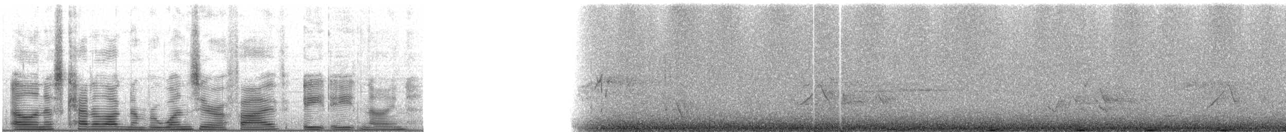 Sooty Grouse - ML105889