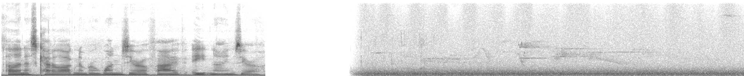 Mountain Quail - ML105890