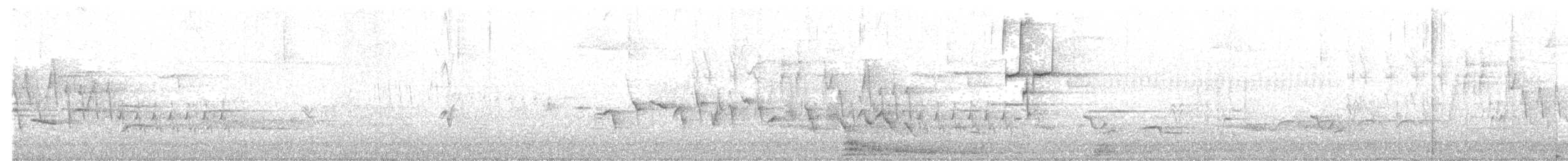 Brown-headed Cowbird - ML105894871