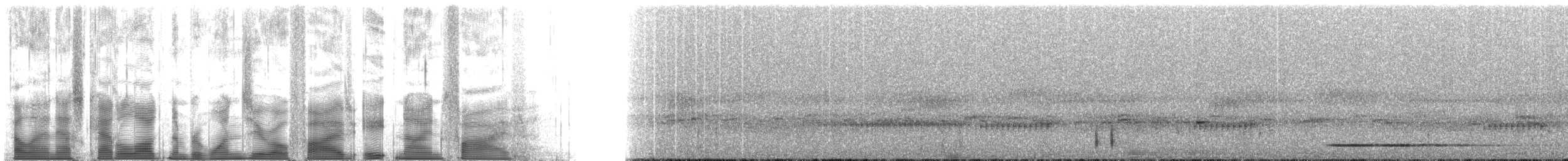 Gray Tinamou - ML105895