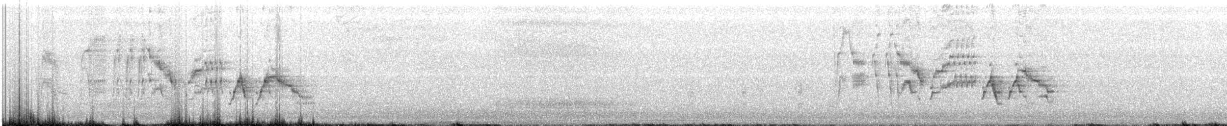 Grauwangen-Musendrossel - ML105900641