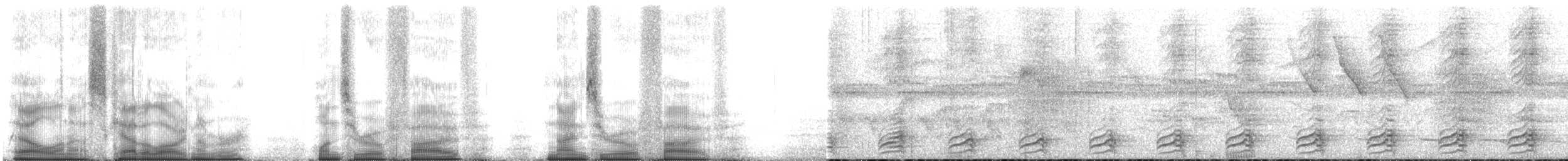 Toucanet à bec sillonné (sulcatus/erythrognathus) - ML105905