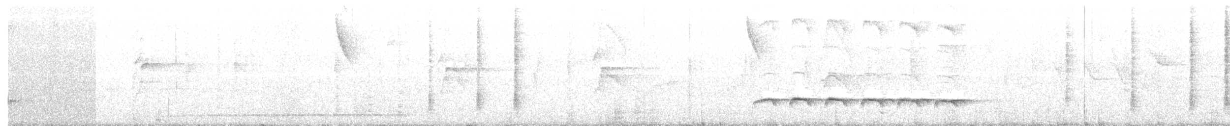 Weißbinden-Ameisenvogel - ML105910101
