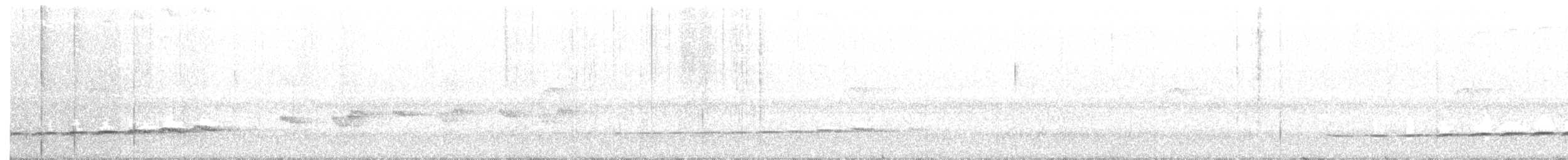 Крапчатый торорой - ML105910321