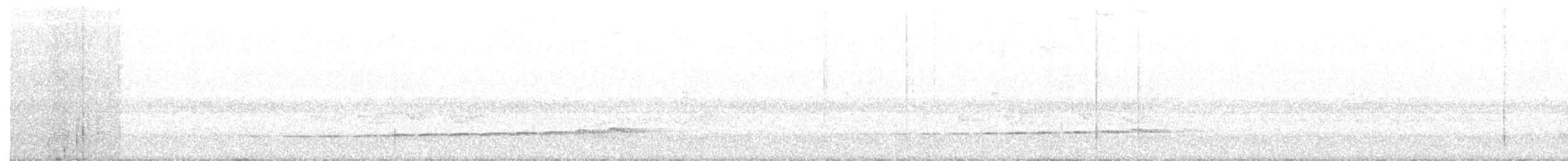 Крапчатый торорой - ML105910521
