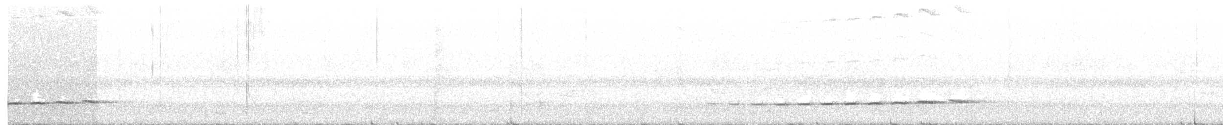 Крапчатый торорой - ML105910631