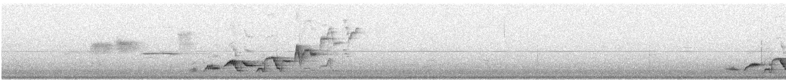 Дрізд-короткодзьоб Cвенсона - ML105917461