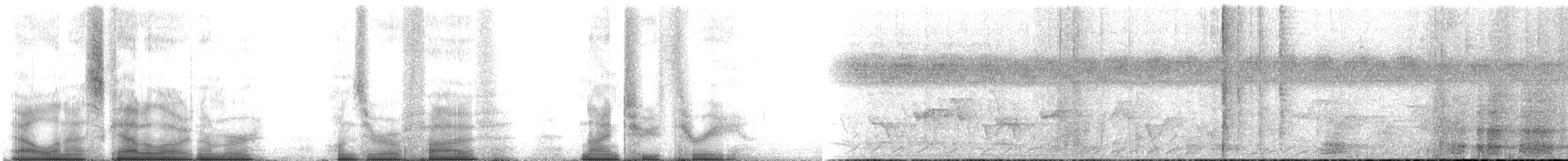 Краснохвостая чачалака (ruficauda) - ML105923