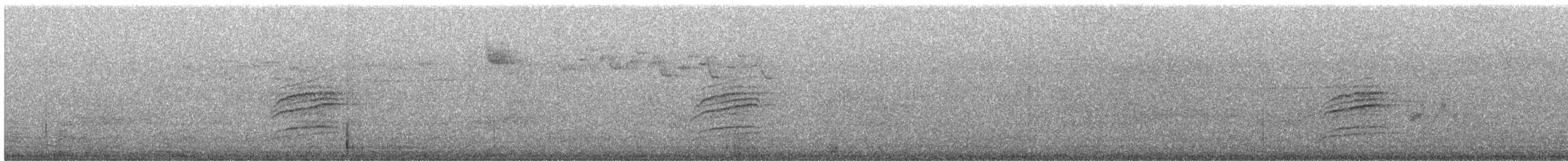 Дрізд-короткодзьоб плямистоволий - ML105923041