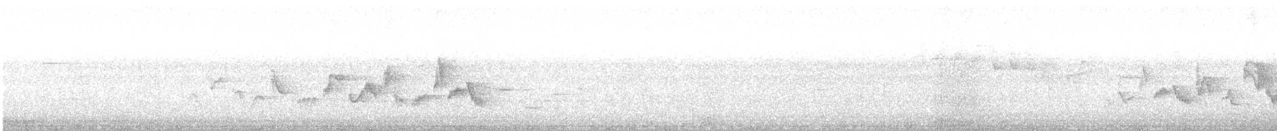 Western Warbling Vireo - ML105946711