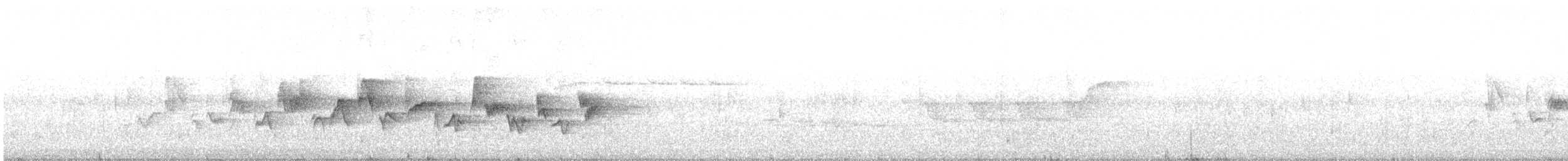 Western Warbling Vireo - ML105946881