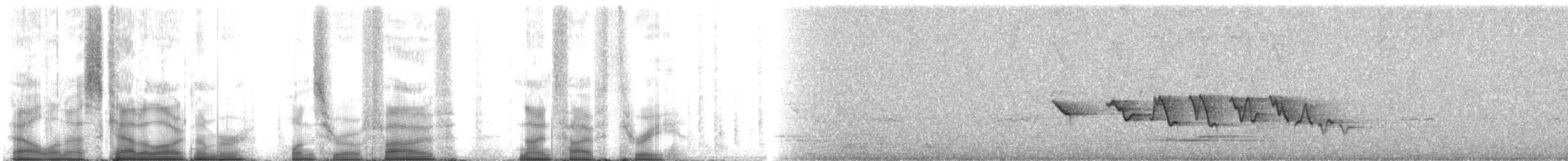Кобальтовая гуирака (parellina/beneplacita) - ML105953